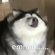 白露一过凉爽多了,白露节气后气温骤降