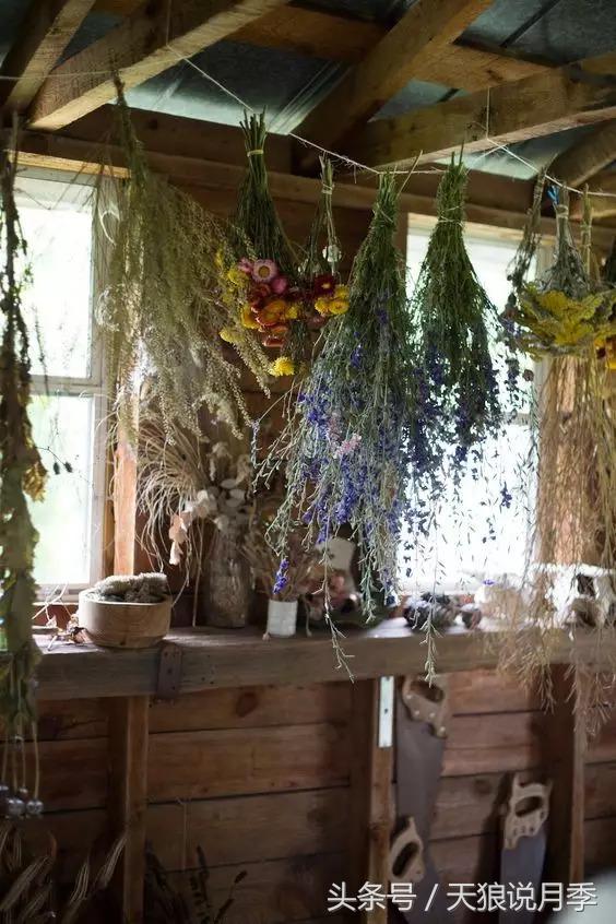 如何做干花最完美,适合南方的干花的制作方法
