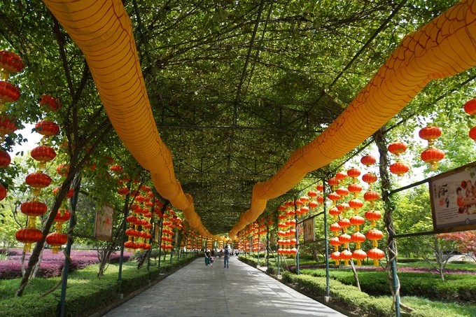 米米乐全部视频,东阳市横店米乐