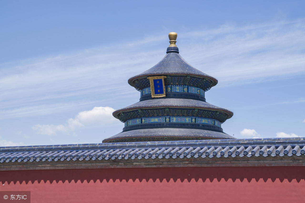 被狗咬了你怎么反击,当你被狗追咬时该怎么办