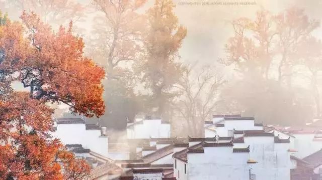 秋天的婺源什么时候去最美,秋天的婺源是色彩的天堂