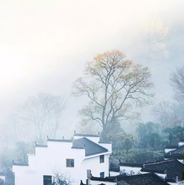 秋天的婺源什么时候去最美,秋天的婺源是色彩的天堂