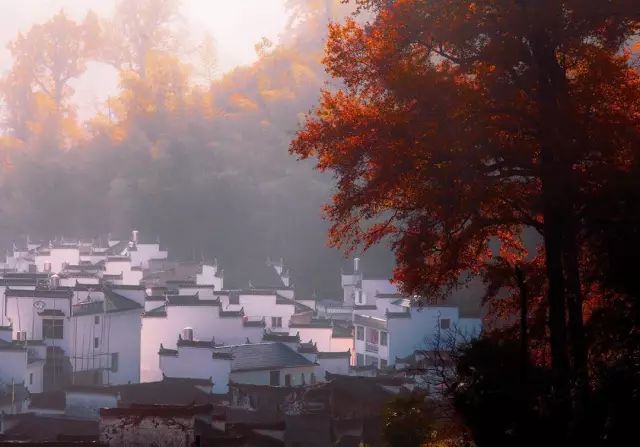 婺源的秋天真美,秋天的婺源什么时候去最美