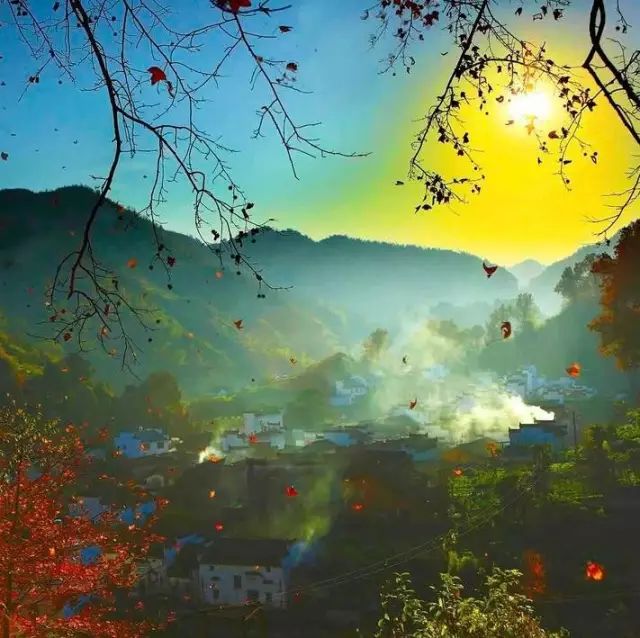 婺源的秋天真美,秋天的婺源什么时候去最美