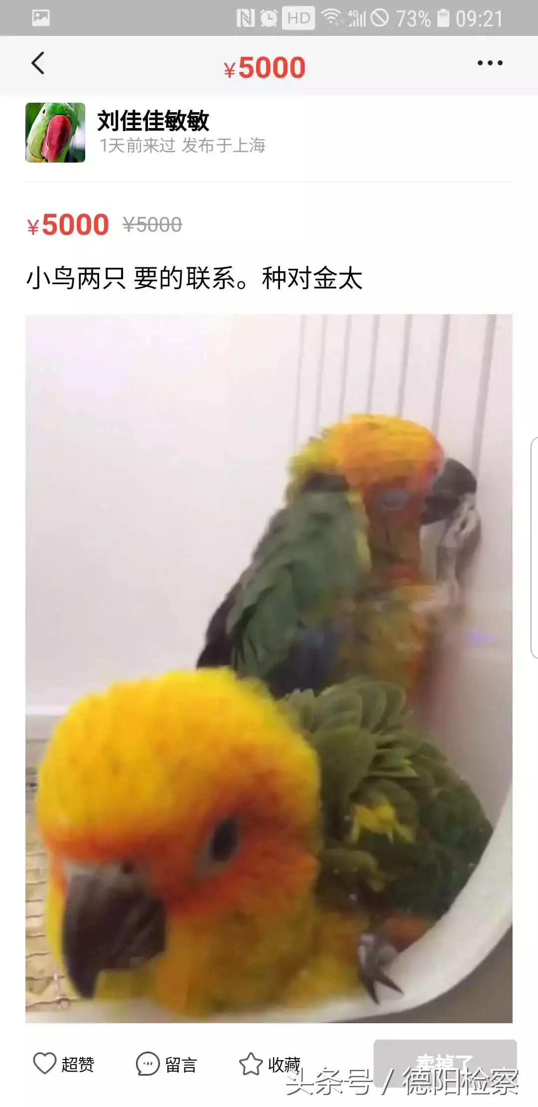 闲鱼低价卖动物,闲鱼能卖动物吗