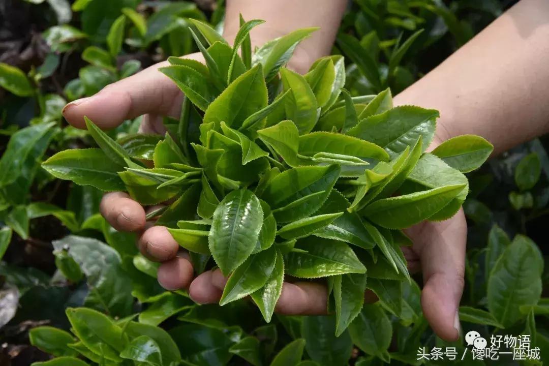 我是你的“广东小甜甜”，快来泡我啊！