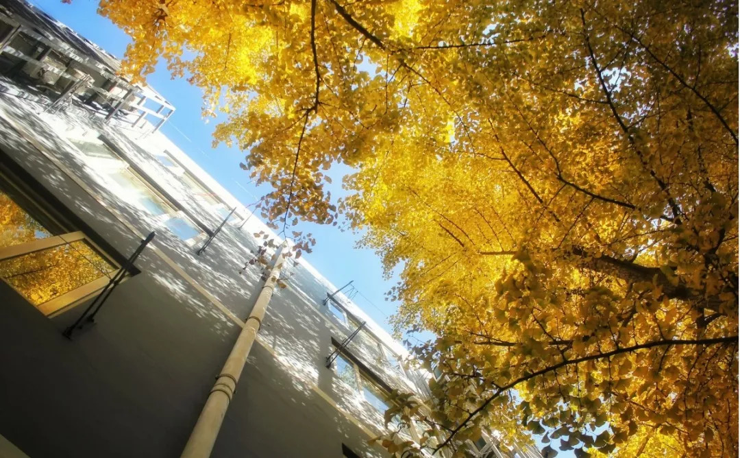 北航和农大,北航的八大学院