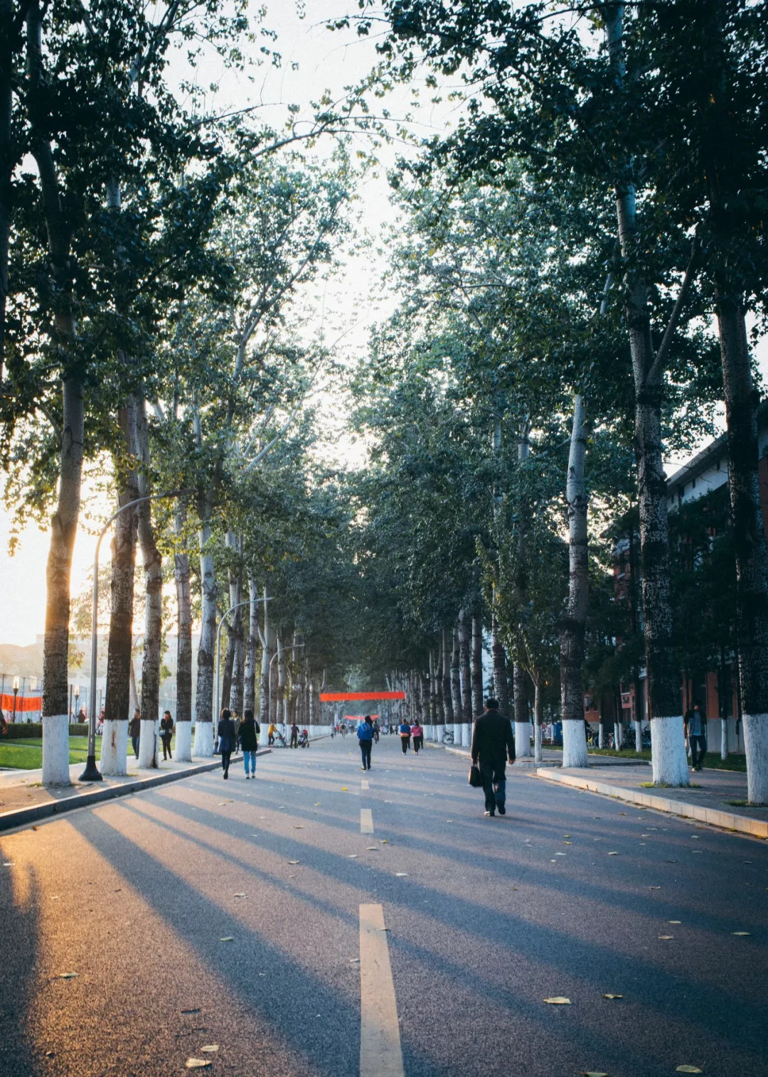 北航和农大,北航的八大学院