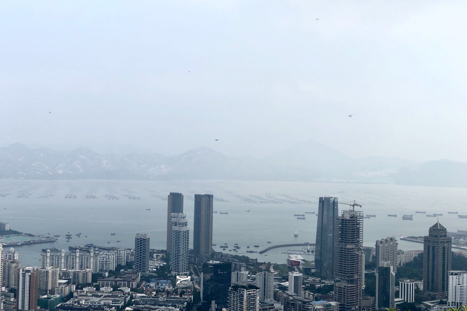 深圳南山周末玩乐推荐,深圳南山中山公园一日游攻略