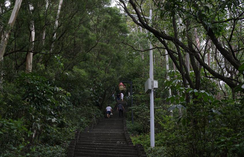 深圳南山周末玩乐推荐,深圳南山中山公园一日游攻略