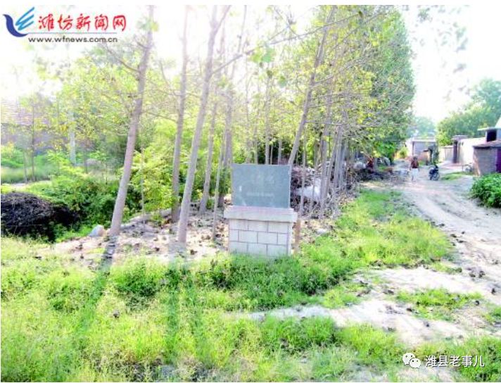 潍县有泉无?且看《寻泉记》!