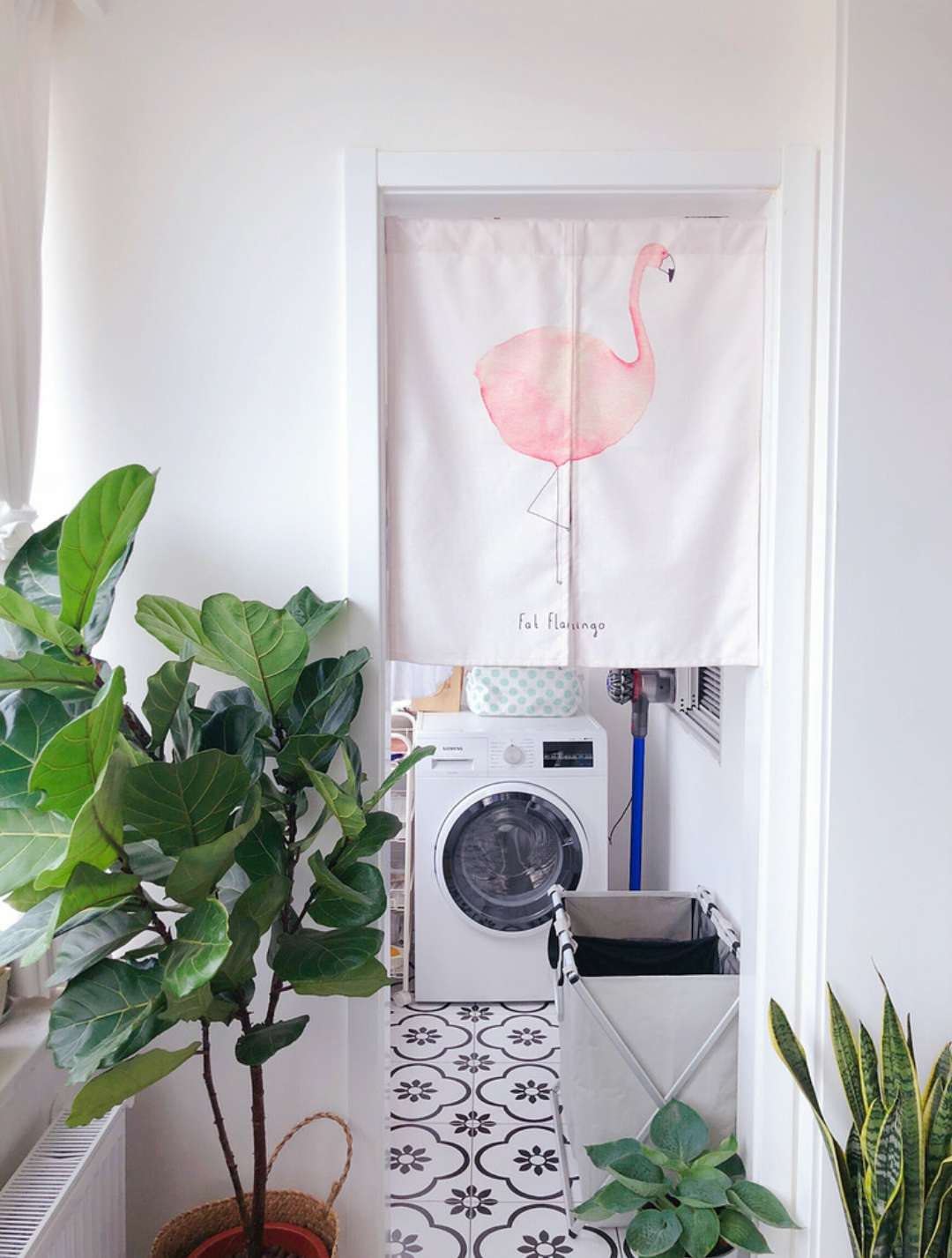 90后旅行达人,旅行达人宅家日常