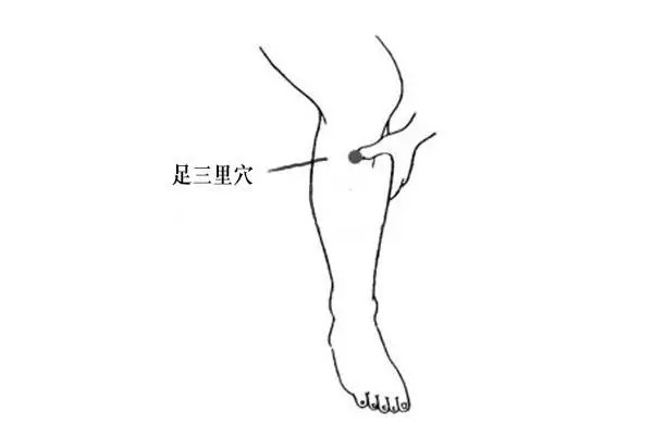 中医养生头痛按哪个穴位快速止痛,急性胃痛董氏奇穴缓解疼痛特效穴