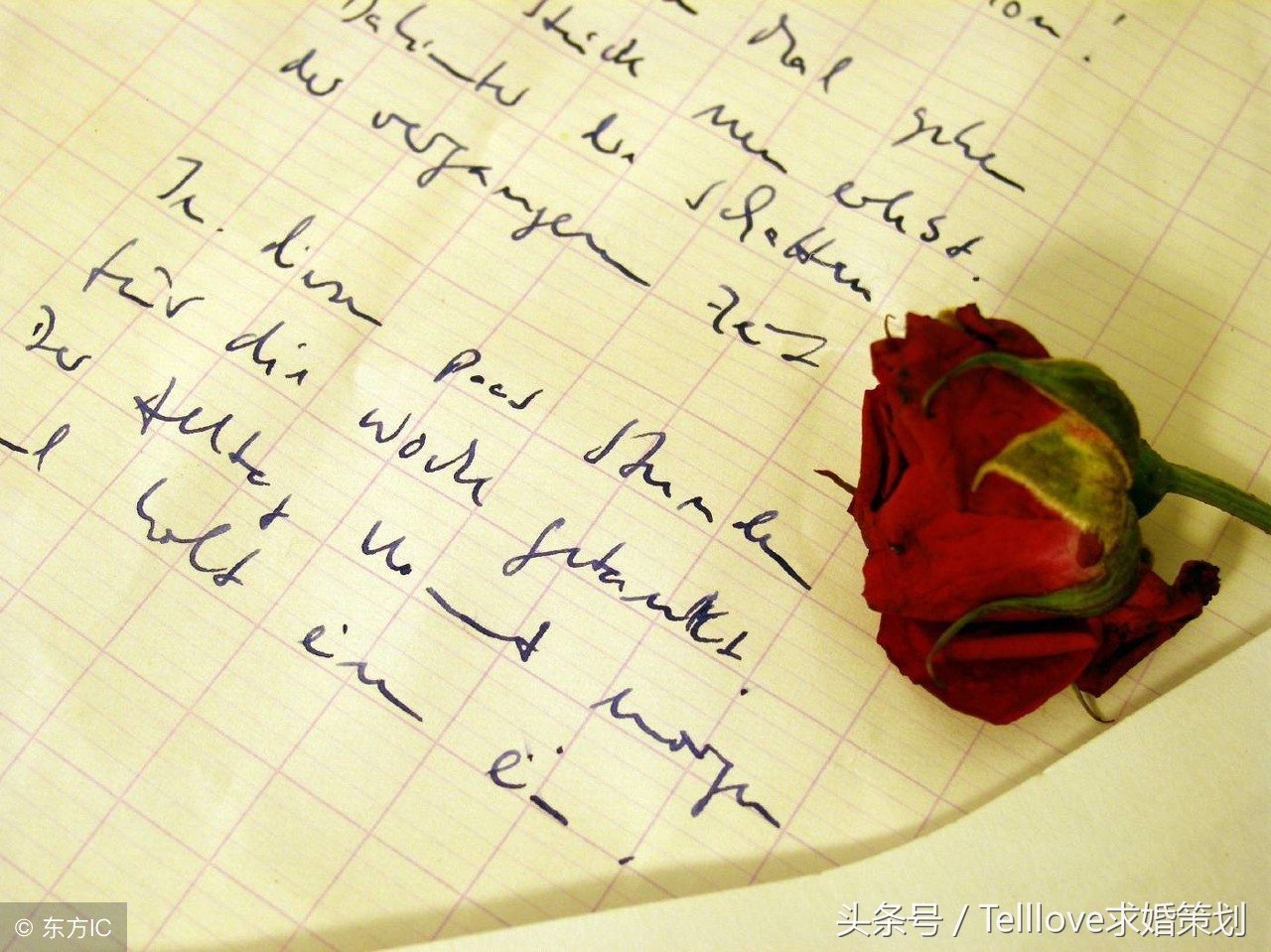 简短一句话英文情书,英文情书长篇句子