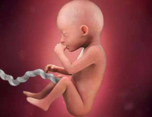 孕期育儿知识科普大全,孕期育儿科普知识大全