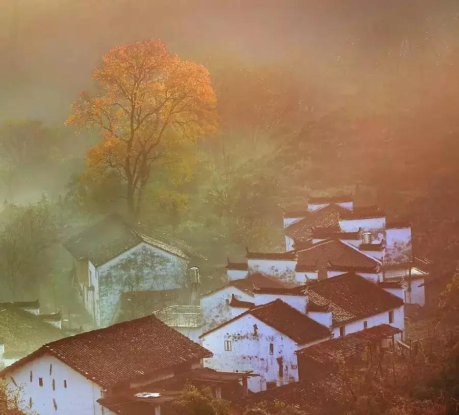 秋天婺源自由行攻略,秋天婺源游玩最新攻略