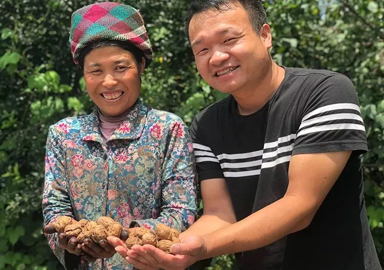 此物号称植物界的唐僧肉！补大脑，益心脏还能缓解失眠！