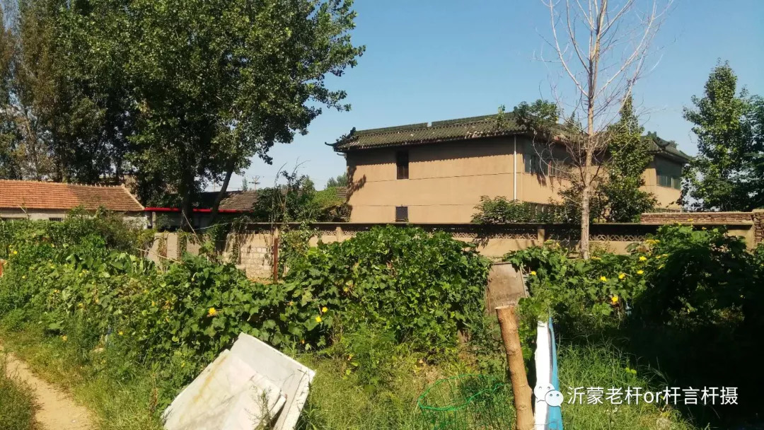 永远难忘付庄街道神奇的磨坑上了年纪的人都知道这个地方很蹊跷你还记得吗