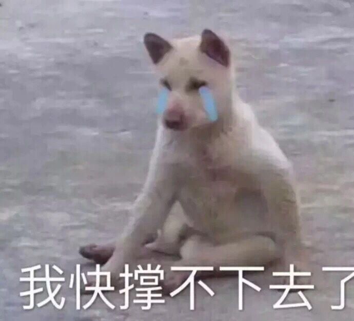 爆改的双倍快乐,清空购物车的福利