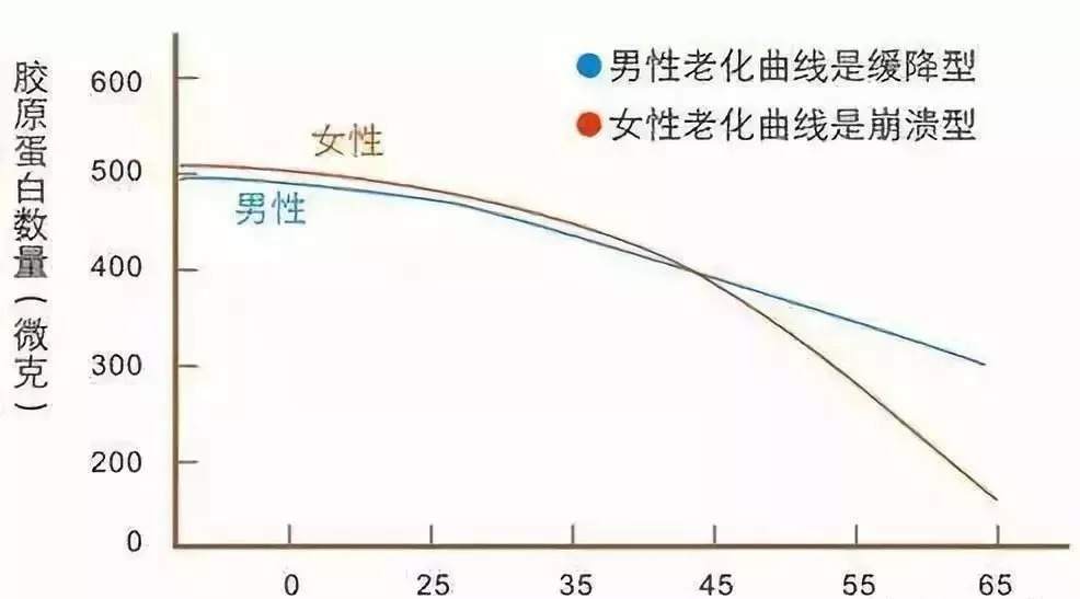 胶原蛋白真的可以冻龄吗,关于胶原蛋白的小知识