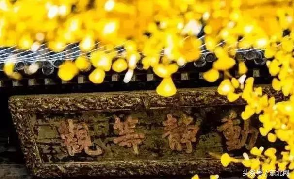 北京秋天一定要看的美景,北京秋天到处都是天堂般的美