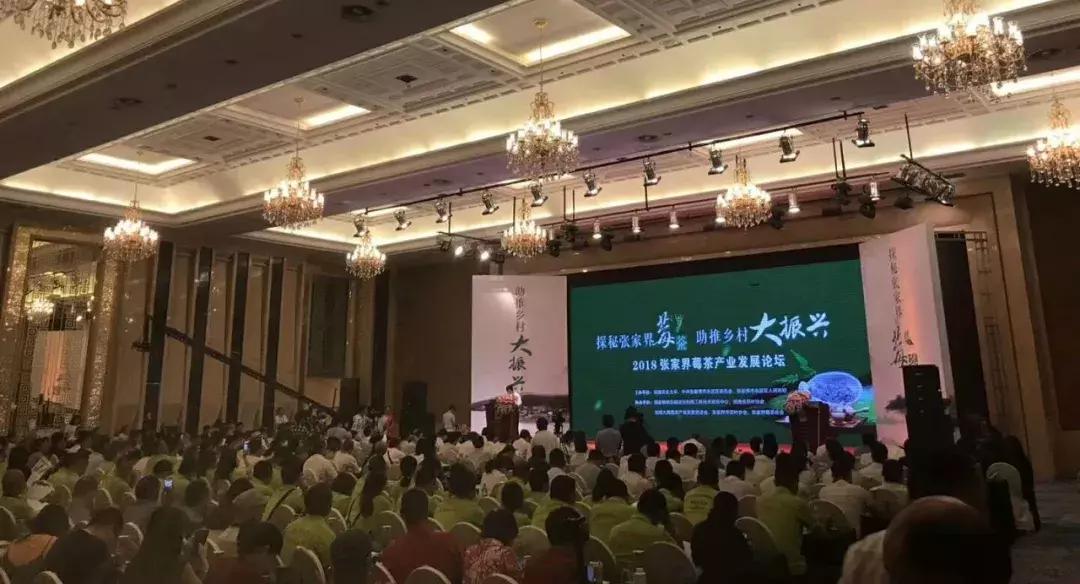 张家界莓茶文化节,2023张家界莓茶节