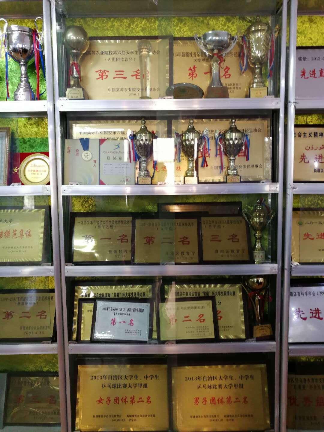 中国农业大学足球队首发阵容,新农大足球俱乐部