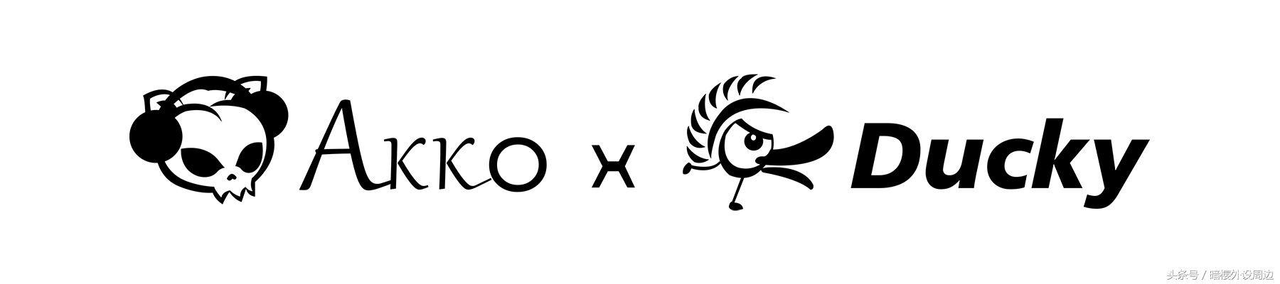 问一下魔力鸭和ducky的关系,魔力鸭和ducky的区别