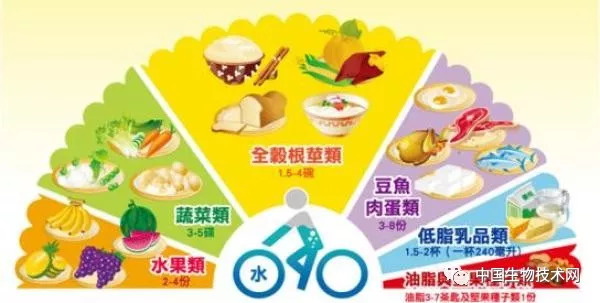 隐性饥饿的原因是什么,隐性饥饿最佳解决方法