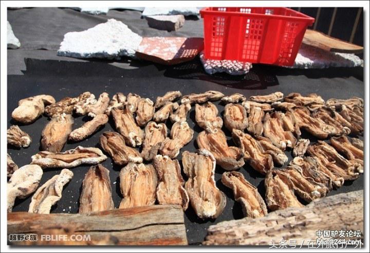 中国的西沙群岛地理全貌,中国西沙群岛历史