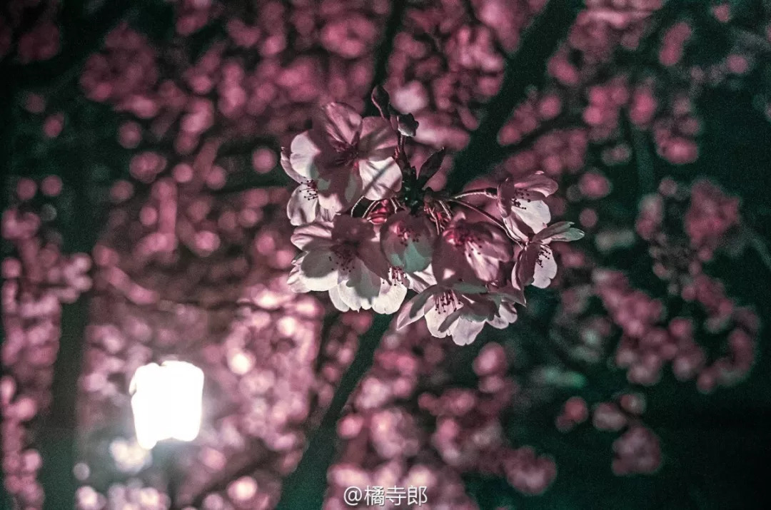 2005年的南京街头真实影像,记忆中的南京照片