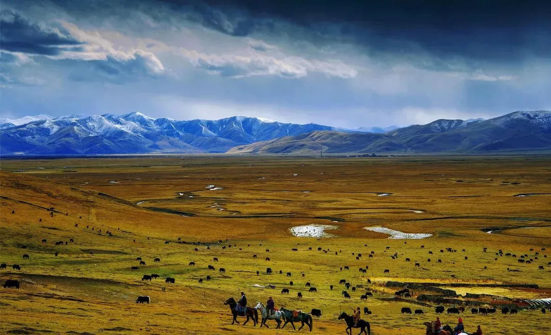 秋天甘南旅游攻略,看甘南草原风光