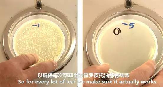 秋冬嘴角干燥、脱皮、发炎？涂点这个，立刻还你幼嫩双唇，让人想要一亲芳泽！