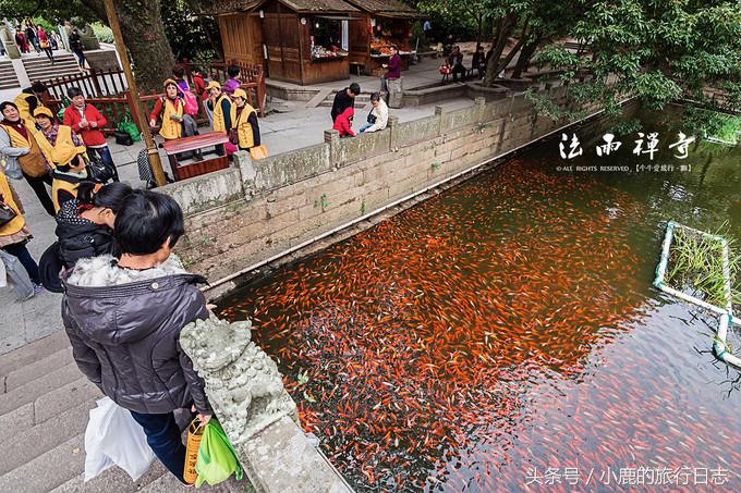 宁波舟山普陀山旅游团报团两日游,普陀山两日游住岛上好还是外面好