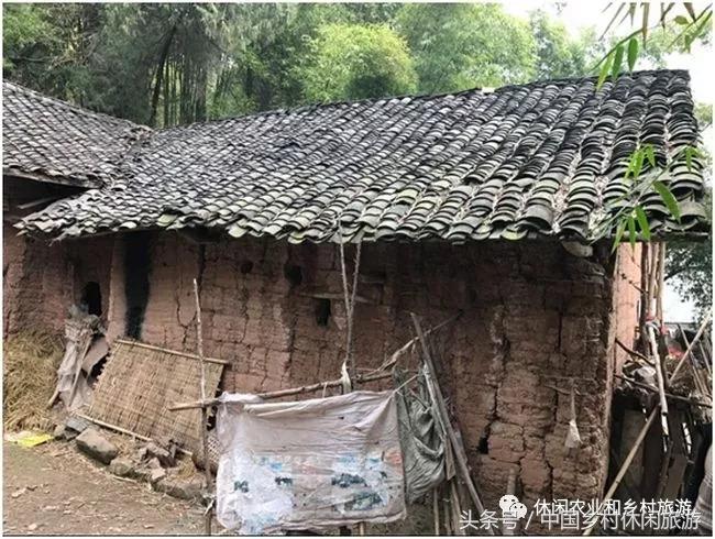 以前的大棚房现在怎么处理,大棚房拆除原因