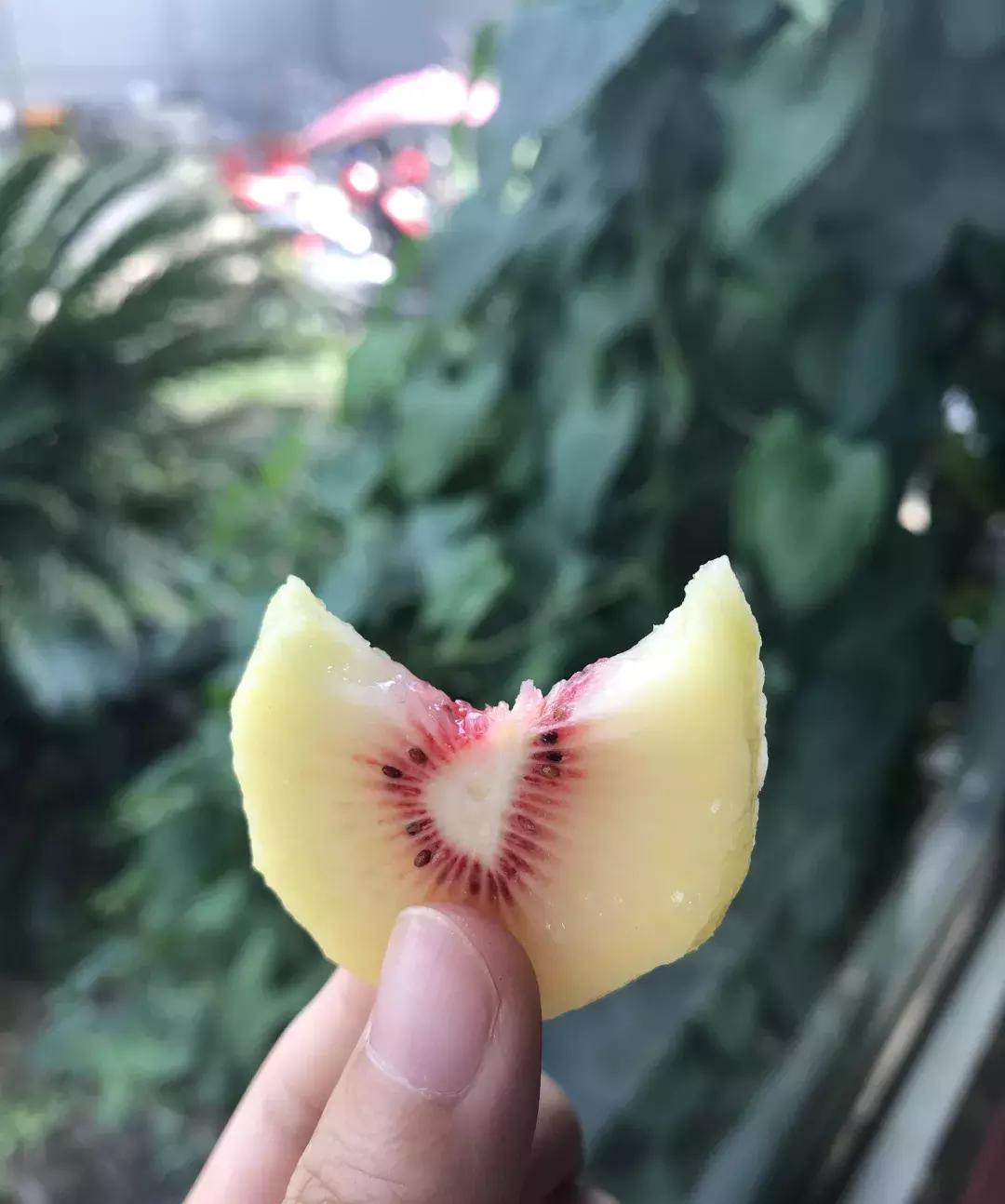 四川被忽略的景点,成都邛崃藏在深山中的世外桃源