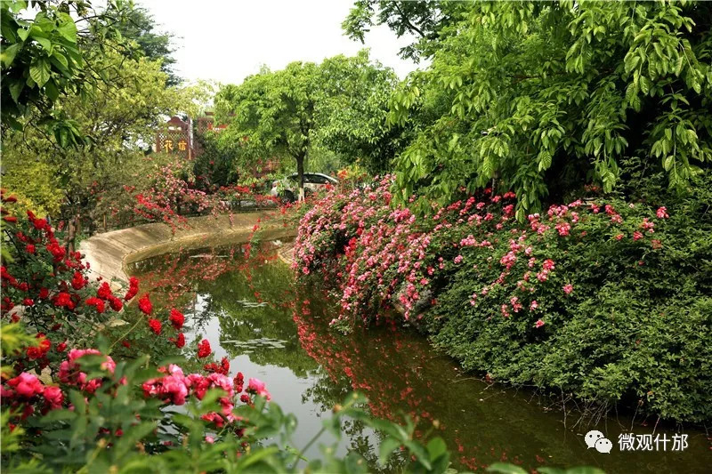 未来什邡发展,德阳市对什邡未来的发展