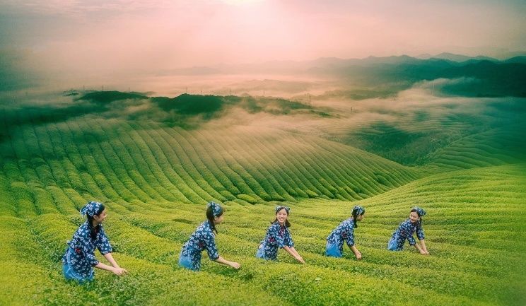 文辉创作,文辉出自何处