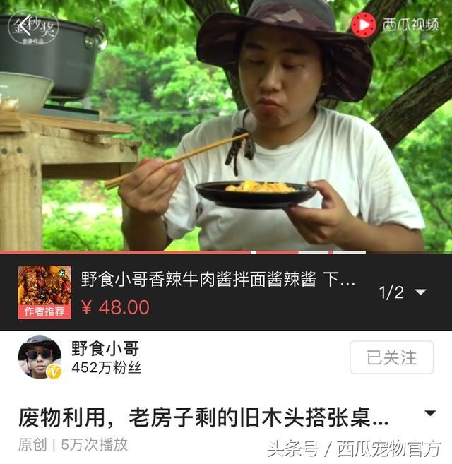 生活视频作者运营全攻略——从推荐、涨粉到收益快拿好～