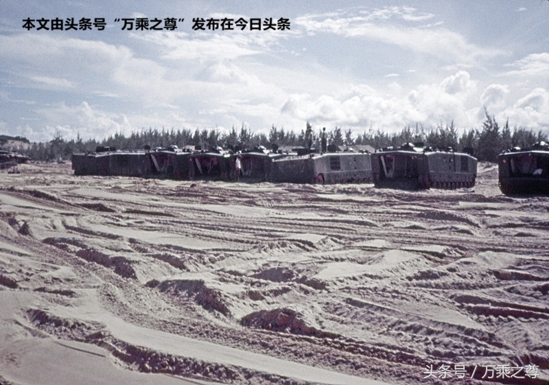 军事战术基础知识,军事知识野战部队