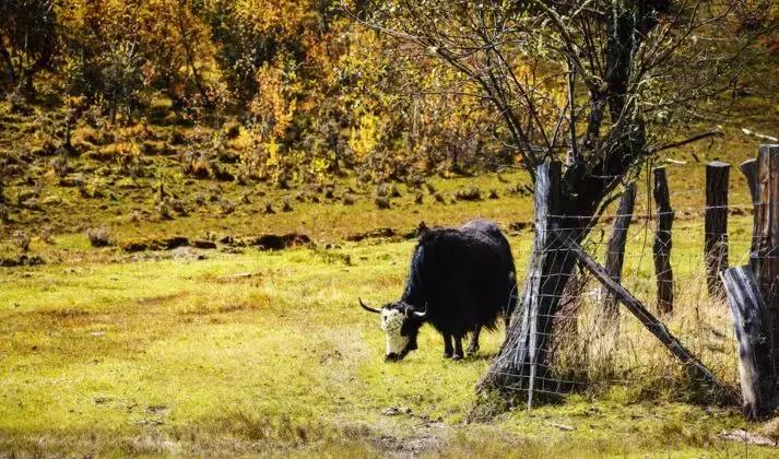 国内最美的十大海滨城市,国内最撩人的20个金秋童话