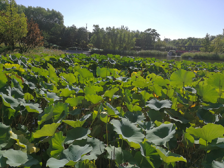 信用卡欠款还不上怎么办,信用卡欠款不还最终会怎样