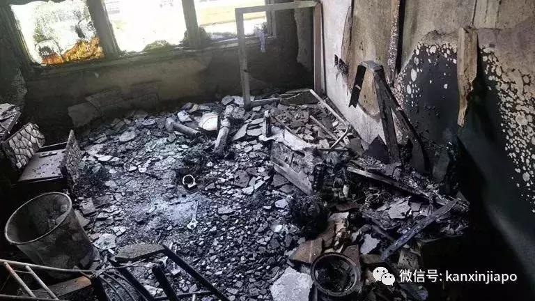 新加坡主要代步工具,新加坡免费代步工具