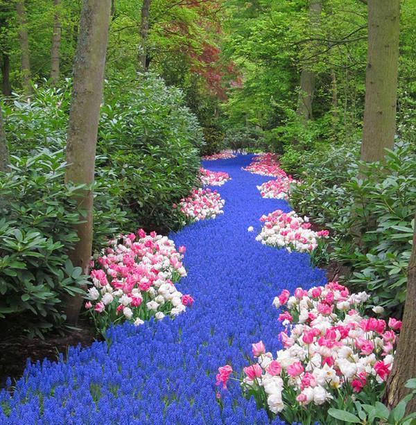 50条高质量qq个性签名短句,女人优雅内涵的个性签名简短