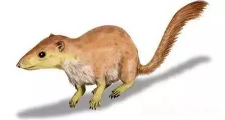 人体哪个部位让你，忍不住伸出舌头，想舔……｜从5500万年前说起