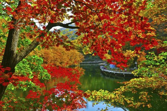 赏枫踏水才是东北秋季的正确打开方式