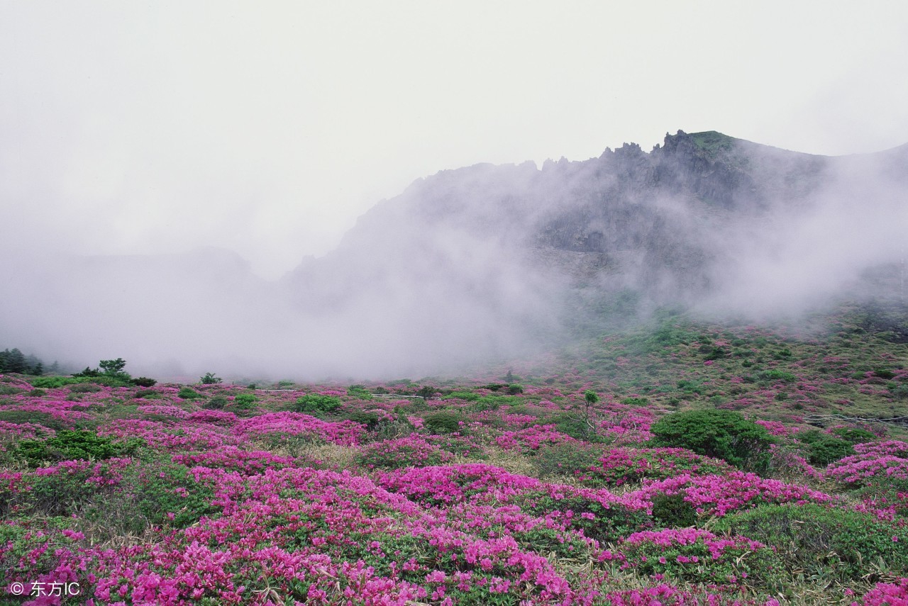 学会释怀格局自然就大了,学会取舍懂得释怀保持好的心态