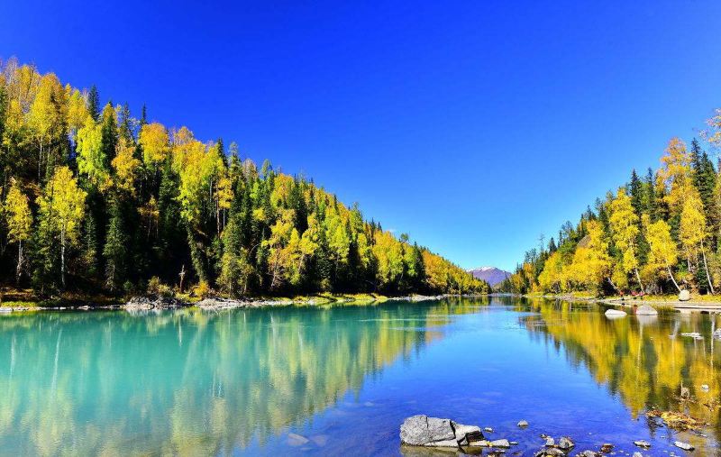 北疆环线10日游最新,北疆环线10日游旅游团