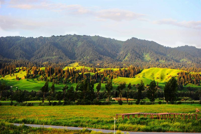 北疆环线10日游最新,北疆环线10日游旅游团