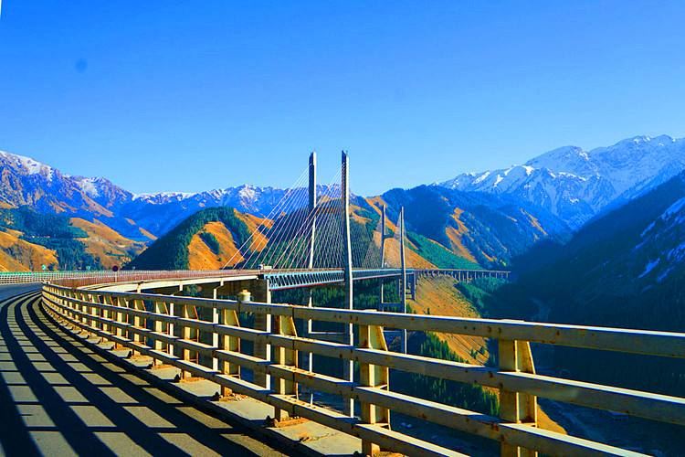 北疆环线10日游最新,北疆环线10日游旅游团